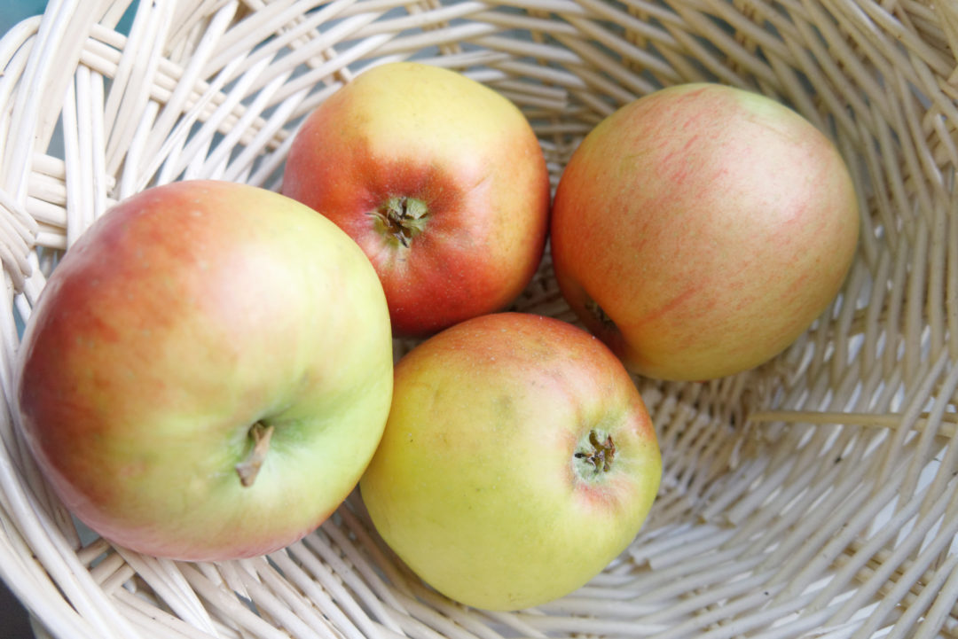 wakacyjne wyzwanie fotograficzne